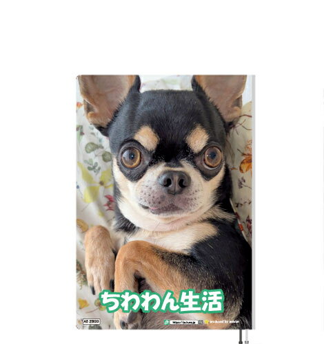 ポメラニアン犬