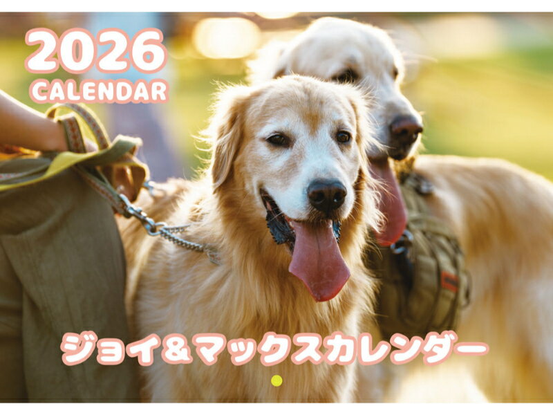 【予約販売】 ジョイ＆マックス 犬 2026年 壁掛け カレンダー KK26323