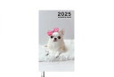 【予約販売】 チワワのクリム 2025年 犬 ポケットスケジュール帳 PO25332(3)