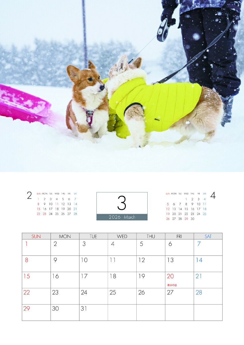 ��ͽ������� �Υ���&��� �������� �� 2026ǯ �ɳݤ� �������� KA26333