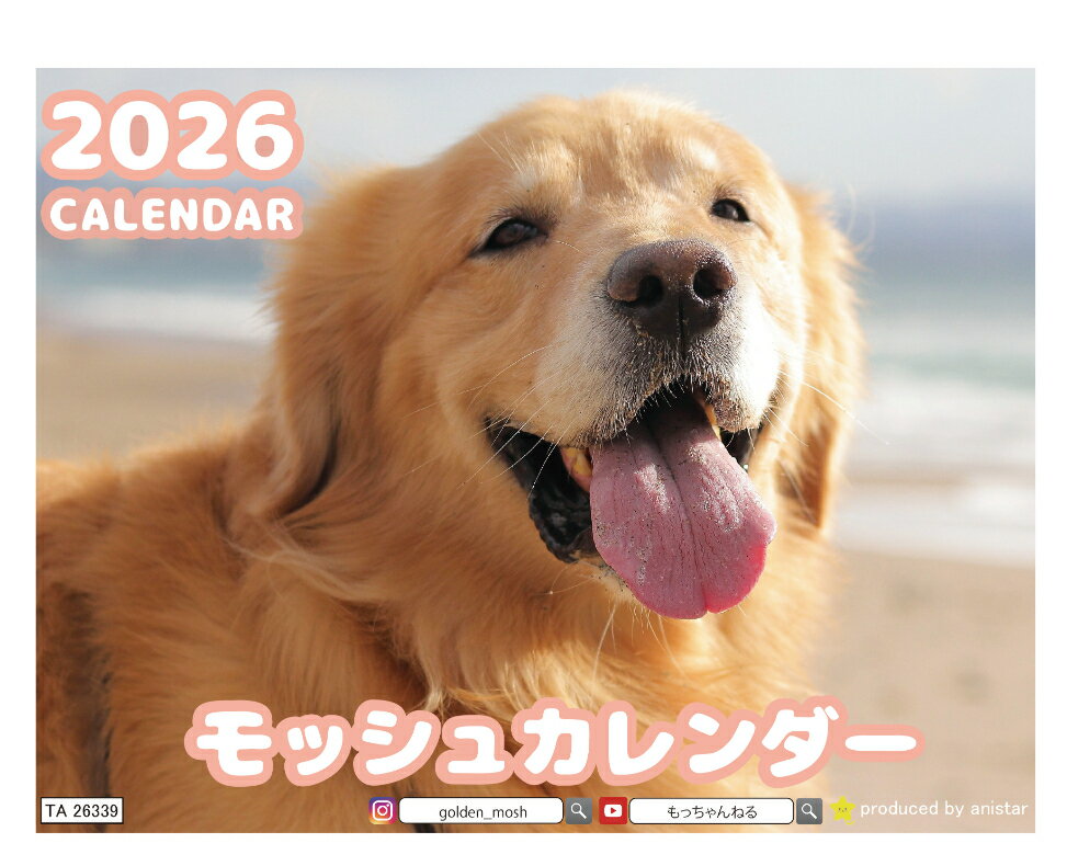 【予約販売】 モッシュ ゴールデンレトリバー 2026年 卓上 カレンダー TA26339