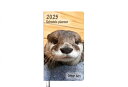 【予約販売】 カワウソ ATY 2025年 ポケットスケジュール帳 No25363(3)