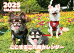 【予約販売】 チワワ犬のTORO&UNI 2024年 壁掛け カレンダー KK24052