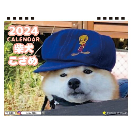  柴犬のこさめ 2024年 卓上 カレンダー TC24057