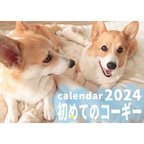  初めてのコーギー犬 2024年 壁掛け カレンダー KK24061