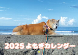 【予約販売】 初めてのコーギー犬 A5 ノート帳 No24065