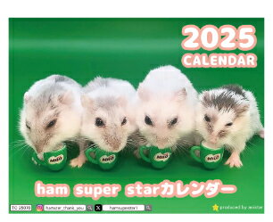  柴犬のよもぎ 2024年 ポケットサイズ スケジュール帳 PO24070