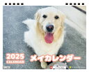 【予約販売】 ゴールデンレトリバー犬のメイ 2025年 卓上半面 カレンダー TC25077(3)