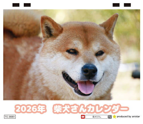 【予約販売】 柴犬さん 2026年 卓上全面 カレンダー TC26001