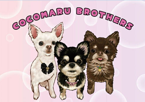 【予約販売】 コハク＆ココマル＆コゲマル 2026年 壁掛けカレンダー KK26103