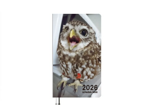 【予約販売】 ふくろうのトゥルちゃん 2026年 ポケットスケジュール帳 PO26110