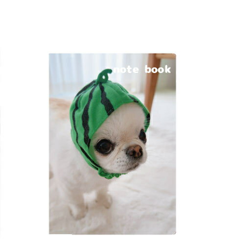 【予約販売】 チワワのUNI＆EBI 犬 A5ノート帳 No003NN