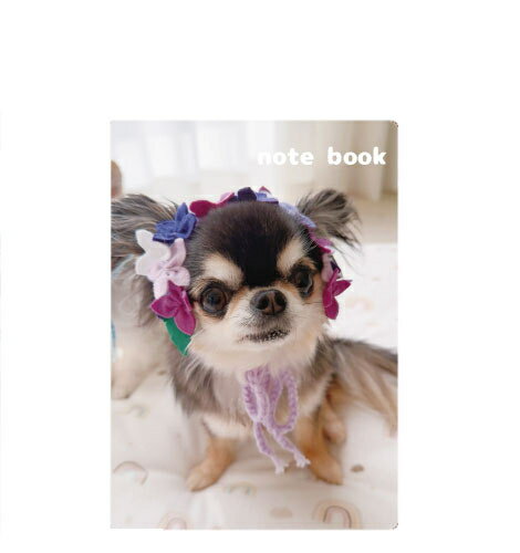 【予約販売】 チワワのUNI＆EBI 犬 A5ノート帳 No004NN