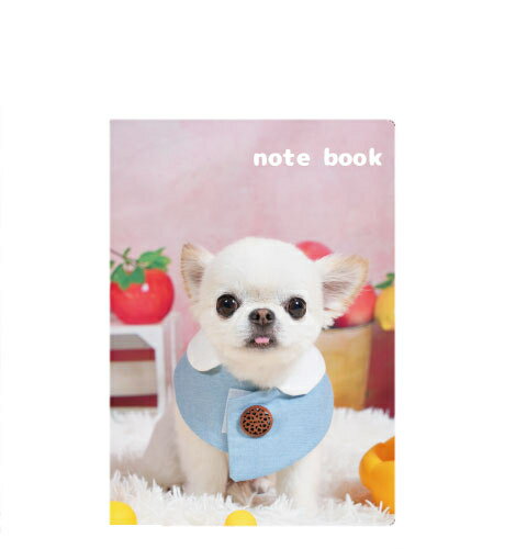 Rakuten - 【予約販売】 チワワのUNI＆EBI 犬 A5ノート帳 No005NN