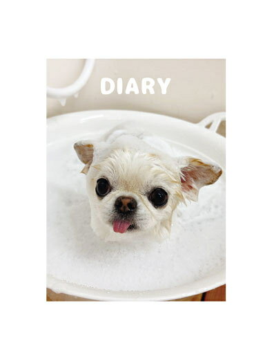 Rakuten - 【予約販売】 チワワのUNI＆EBI 犬 日記帳 DR003NN