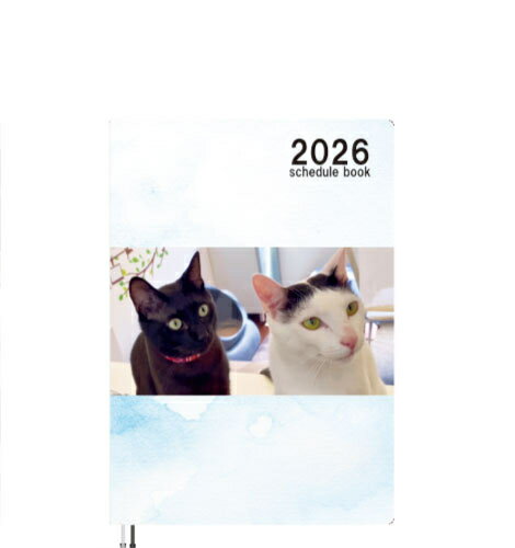【予約販売】 保護猫とTOSAN家ch 2026年 A5スケジュール帳 A526134