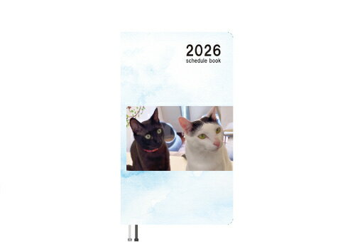 【予約販売】 保護猫とTOSAN家ch 2026年 ポケットスケジュール帳 PO26135