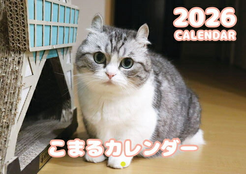 【予約販売】 猫のこまる 2026年 壁掛けカレンダー KA26138