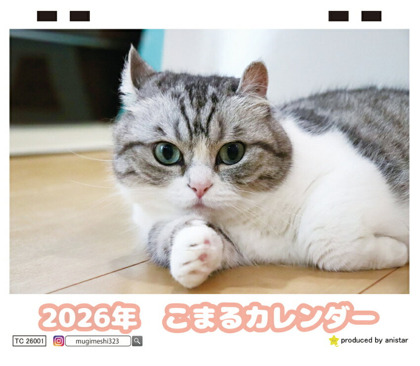 【予約販売】 猫のこまる 2026年 卓上カレンダー TC26139