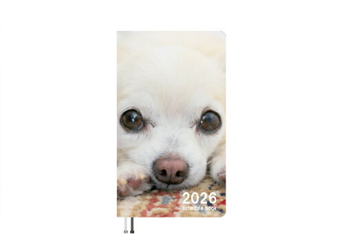 【予約販売】 ちわわん生活 チワワ 犬 2026年 ポケットスケジュール帳 PO26143