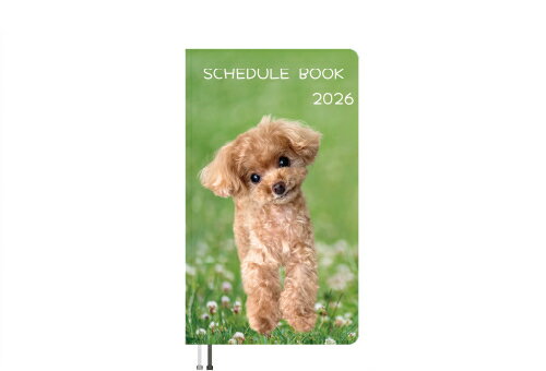 【予約販売】 トイプードルのコロン 犬 2026年 ポケットスケジュール帳 PO26150