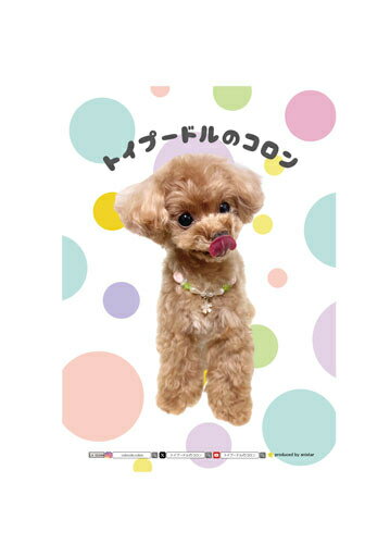 【予約販売】 トイプードルのコロン 犬 家計簿 CA003NN