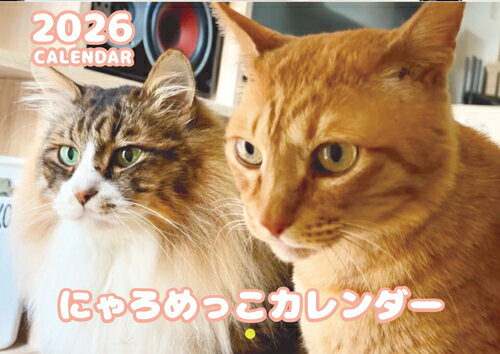 【予約販売】 猫のにゃろめっこ 2026年 壁掛けカレンダー KA26155