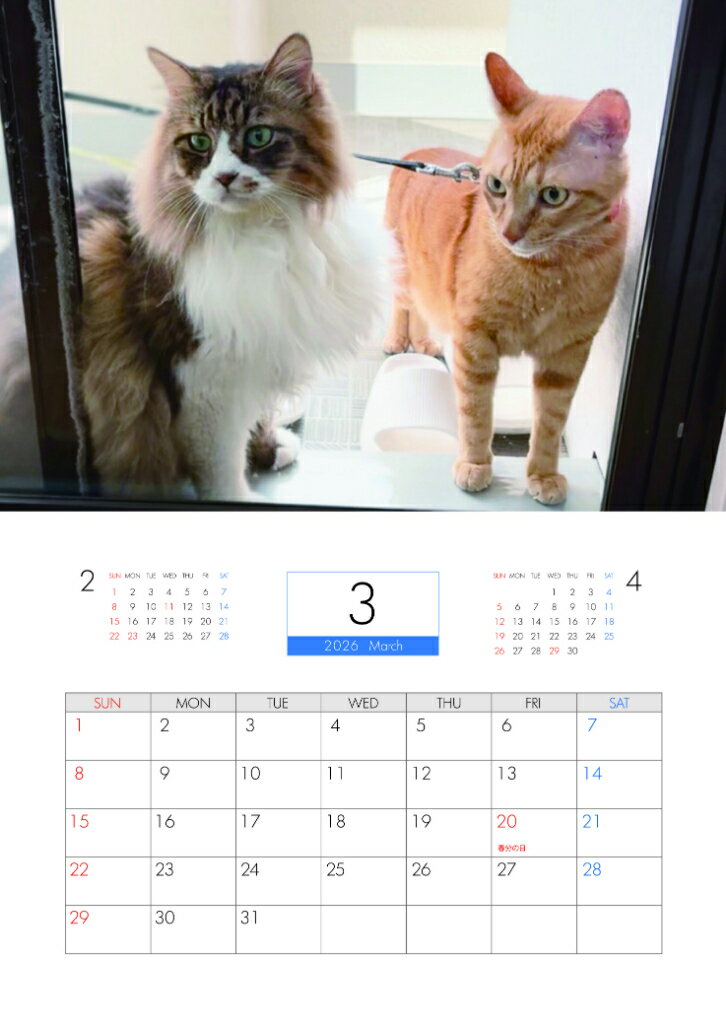 ��ͽ������� ǭ�Τˤ����ä� 2026ǯ �ɳݤ��������� KA26155