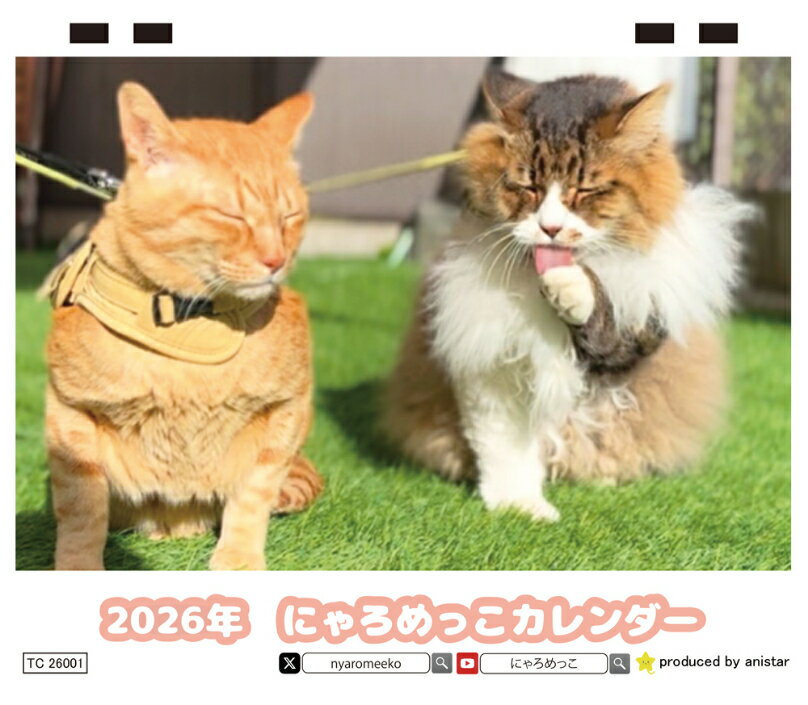 Rakuten - 【予約販売】 猫のにゃろめっこ 2026年 卓上カレンダー TC26157