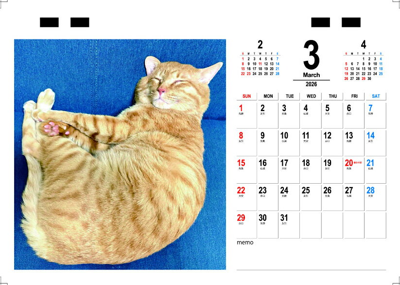 ��ͽ������� ǭ�Τˤ����ä� 2026ǯ ��奫������ TC26157