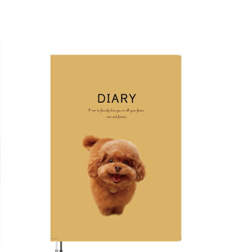 【予約販売】 もっちゃん トイプードル 犬 2026年 A5スケジュール帳 A526168