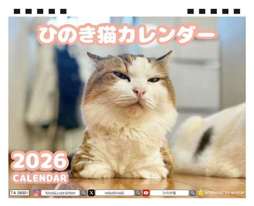【予約販売】 ひのき猫 2026年 卓上カレンダー TA26176