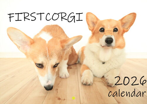 【予約販売】 初めてのコーギー 犬 2026年 壁掛けカレンダー KA26178