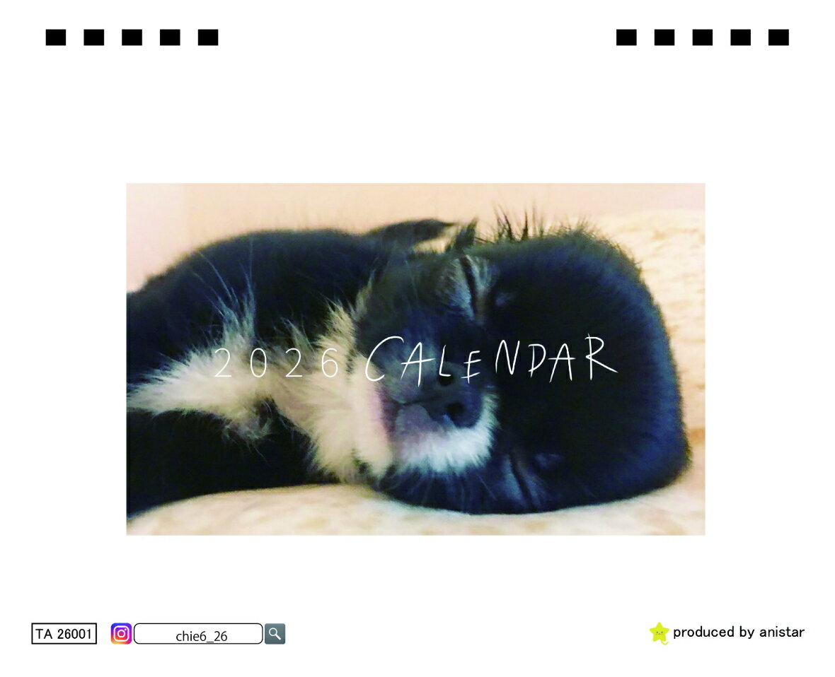 楽天市場】チワワ（手帳・日記帳・家計簿｜手帳・ノート・紙製品