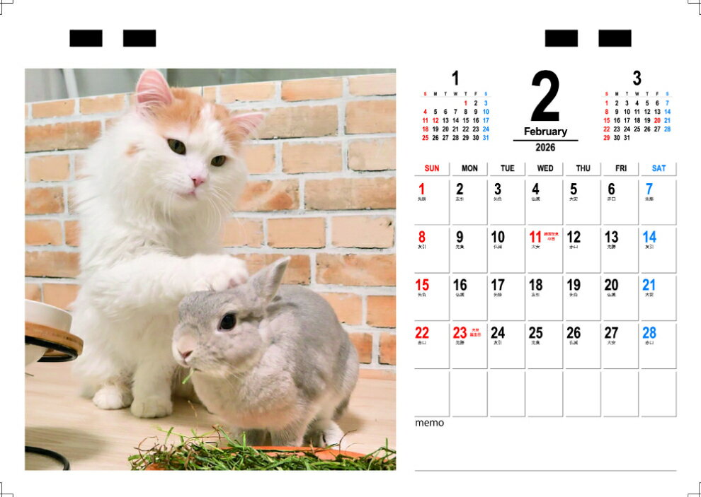 【予約販売】 うさぎのコガラナ天パのうさハムch 2026年 卓上カレンダー TC26191 2
