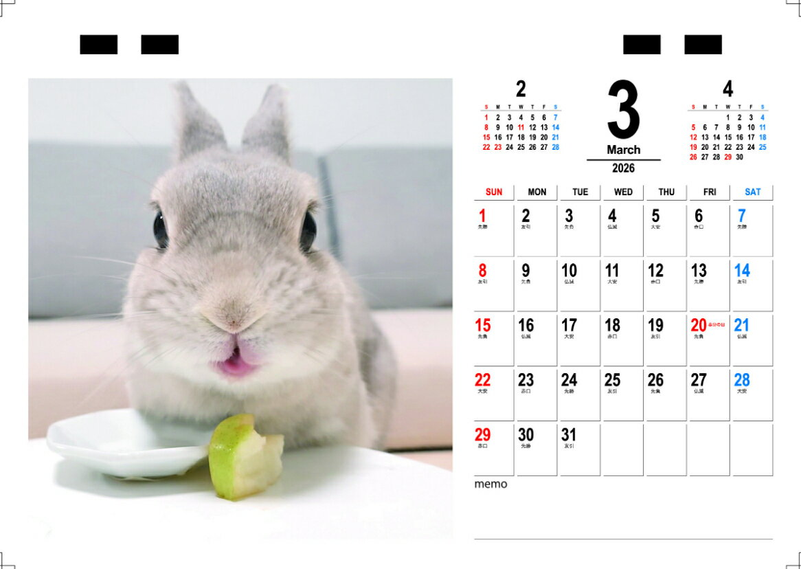 ��ͽ������� �������Υ������ŷ�ѤΤ����ϥ�ch 2026ǯ ��奫������ TC26191