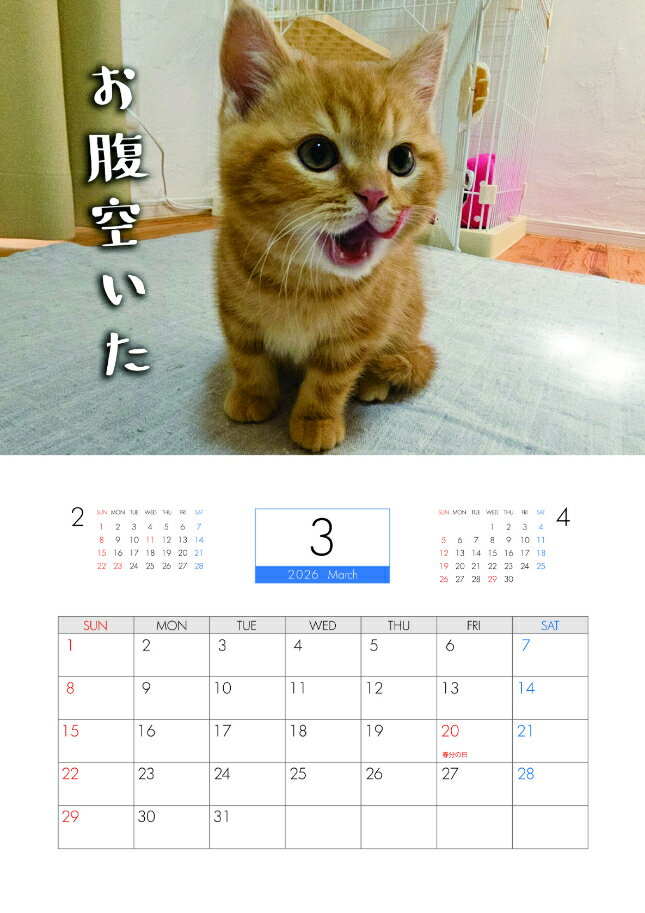 ��ͽ������� ����ǭ�οƥХ����� �������������Ϻ 2026ǯ �ɳݤ��������� KA26208