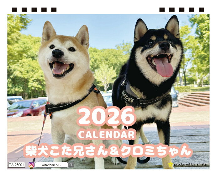 【予約販売】 こた兄さん 柴犬 2026年 卓上カレンダー TA26218