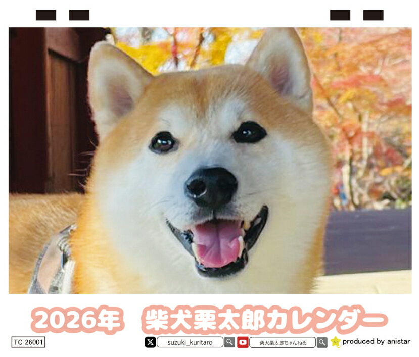 【予約販売】 柴犬の栗太郎 2026年 卓上カレンダー TC26219