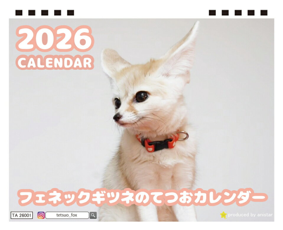 【予約販売】 フェネックギツネのてつお 2026年 卓上カレンダー TA26225