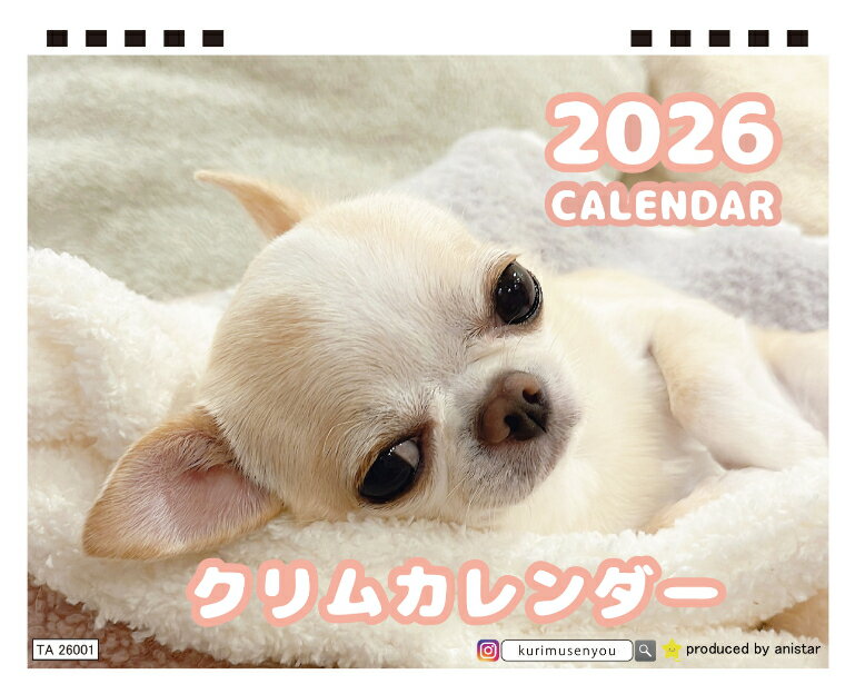 楽天市場】チワワ（手帳・日記帳・家計簿｜手帳・ノート・紙製品