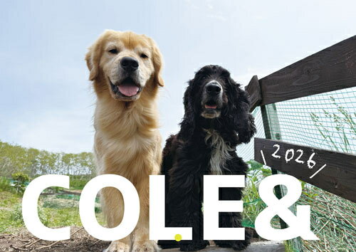 【予約販売】 ゴールデンレトリバー犬のこーる君たち 2026年 壁掛けカレンダー KA26232