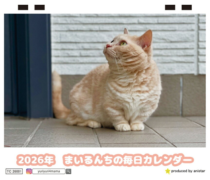 Rakuten - 【予約販売】 まいるんちの毎日 猫 2026年 卓上カレンダー TC26234