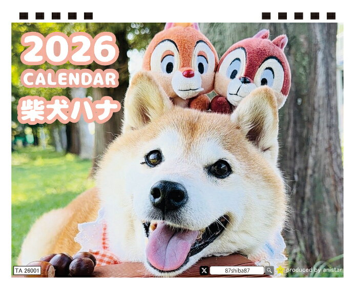 【予約販売】 柴犬のハナ 2026年 卓上カレンダー TA26245(3.0)