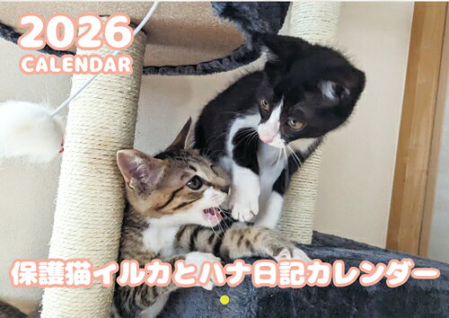 【予約販売】 保護猫イルカとハナ日記 2026年 壁掛けカレンダー KK26246