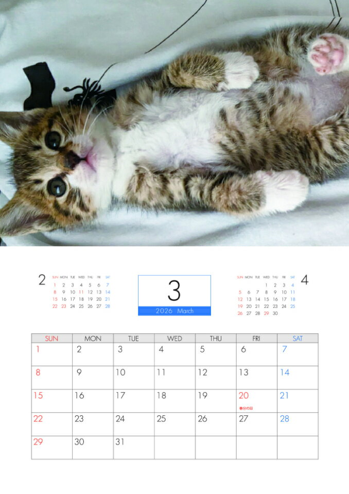 ��ͽ������� �ݸ�ǭ���륫�ȥϥ����� 2026ǯ �ɳݤ��������� KK26246