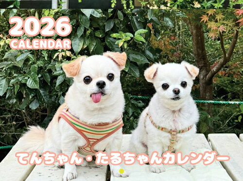 【予約販売】 てんちゃん・たるちゃん 犬 2026年 壁掛けカレンダー KK26256