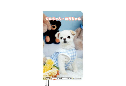 【予約販売】 てんちゃん・たるちゃん 犬 2026年 ポケットスケジュール帳 PO26259