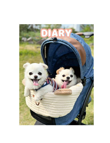 【予約販売】 てんちゃん・たるちゃん 犬 日記帳 DR009NN