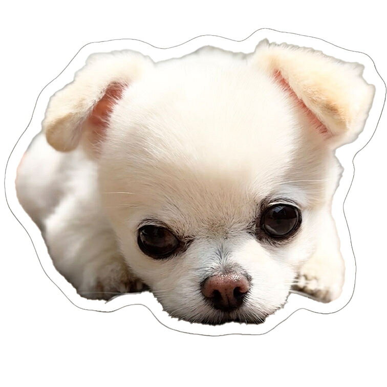 Rakuten - 【予約販売】 てんちゃん・たるちゃん 犬 ステッカー 3枚セット SU018NN